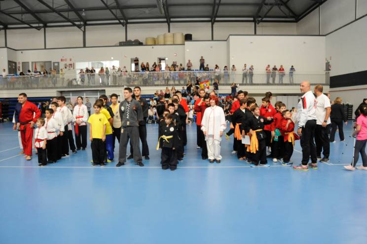 campeonato España artes marciales 2