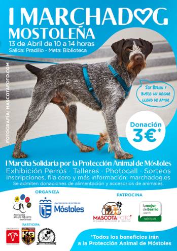 Participa con tu mascota en la primera marcha canina solidaria de Móstoles, Marcha Dog