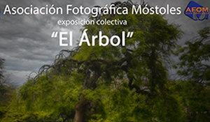 destacada Museo Exposición El Arbol