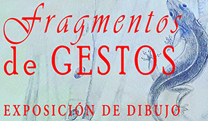 Exposición Carlos Meneses destacada museo