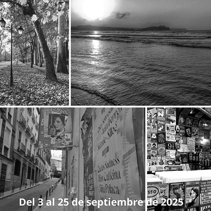 destacada agenda Exposición Diferentes miradas, diario de luz