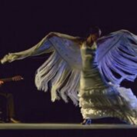 FOTO_Recital flamenco 1