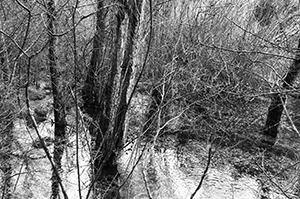 El reportaje como obra personal (4)P