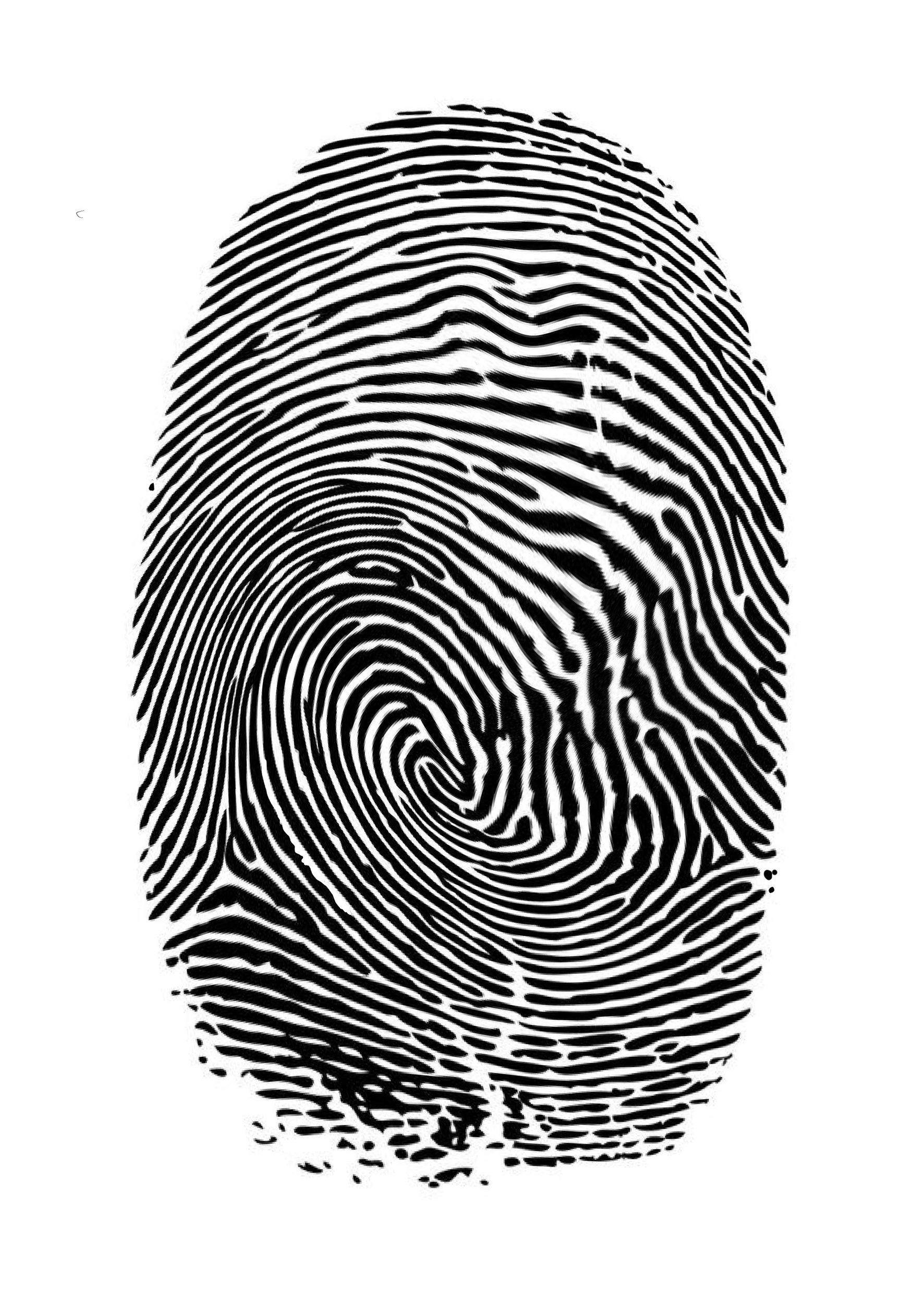 IMAGEN A INTERVENIR - DEJANDO HUELLA