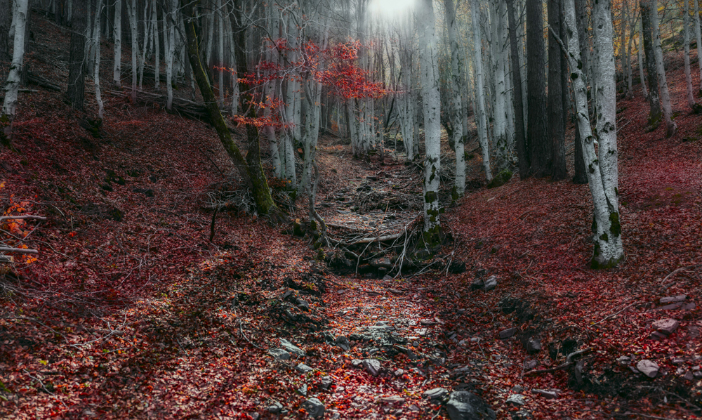 FOTO EXPOS._Miradas_VILLA