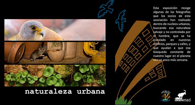 Expo "Naturaleza urbana"