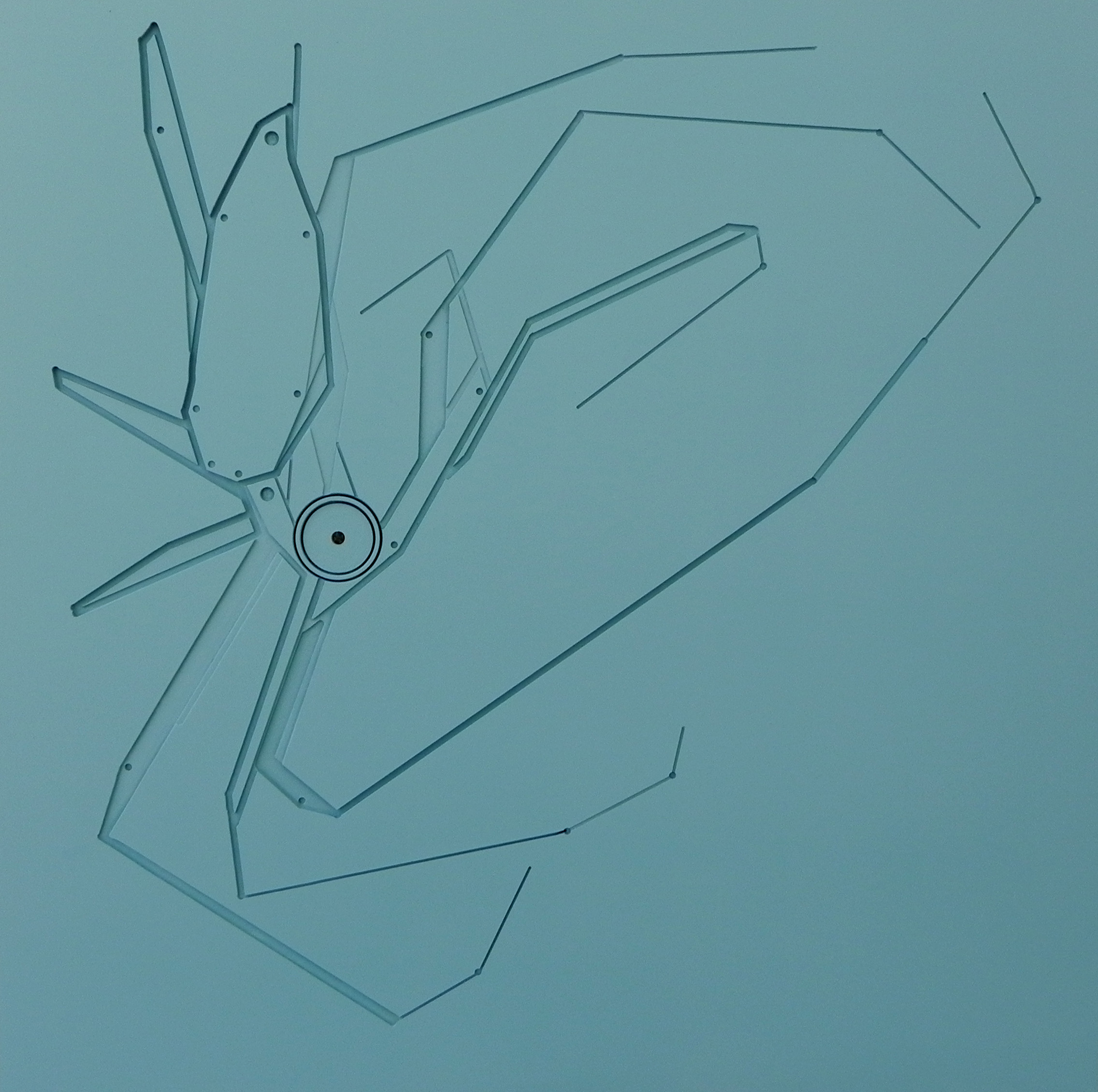 FOTO EXPOSICIÓN FÓSILES de Francisco Sanz en el Villa