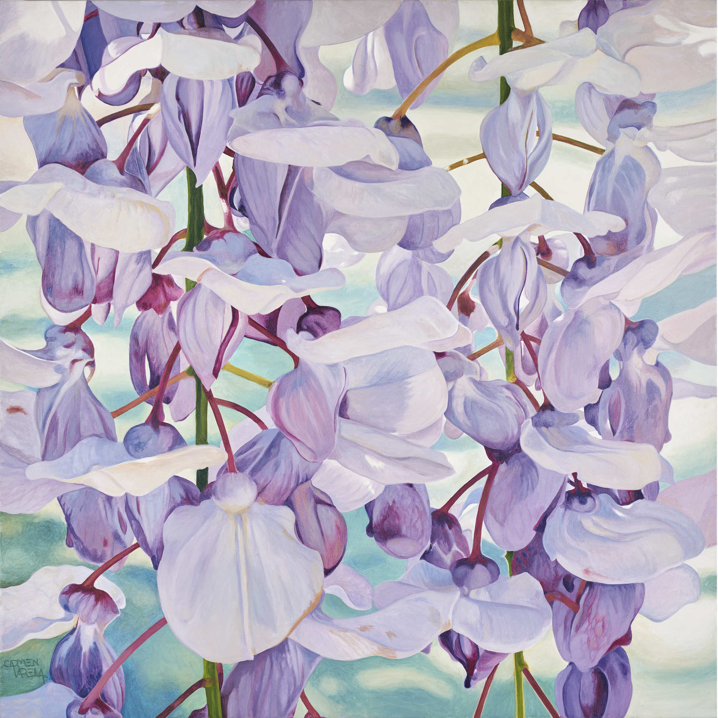 foto exp. Carmen Varela