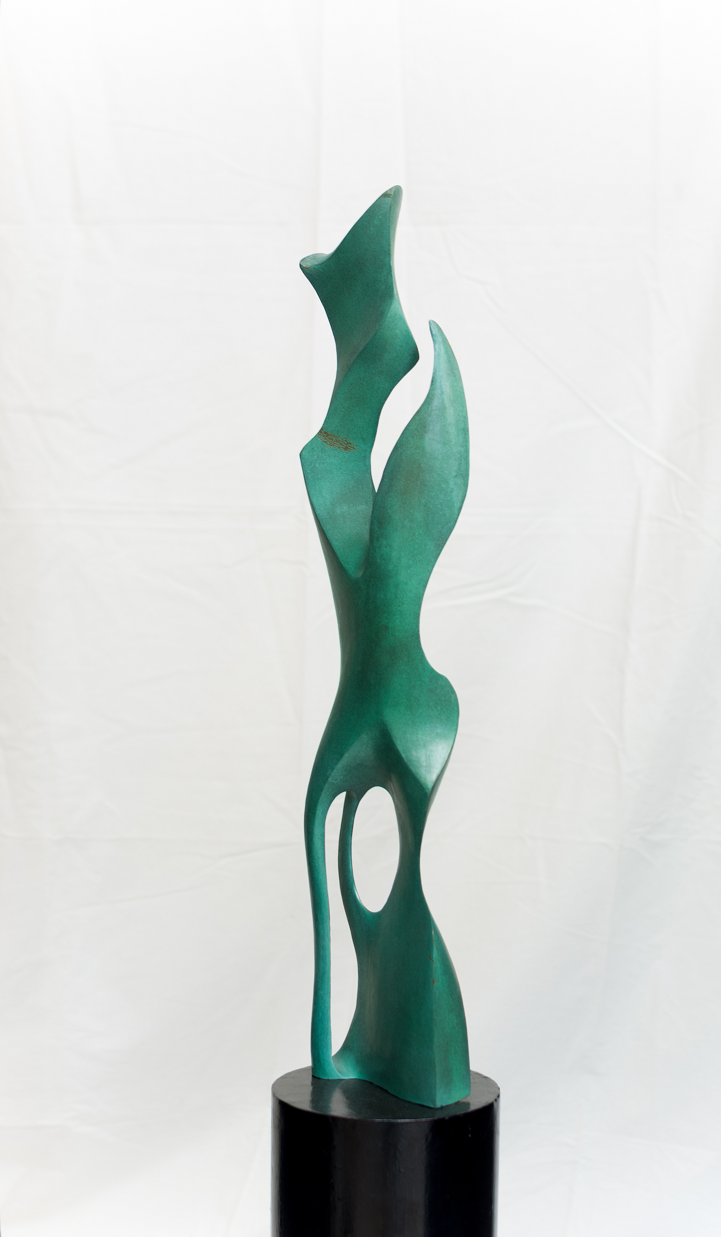 FOTO EXPO FEDERICO OSORIO_llamas_MUSEO