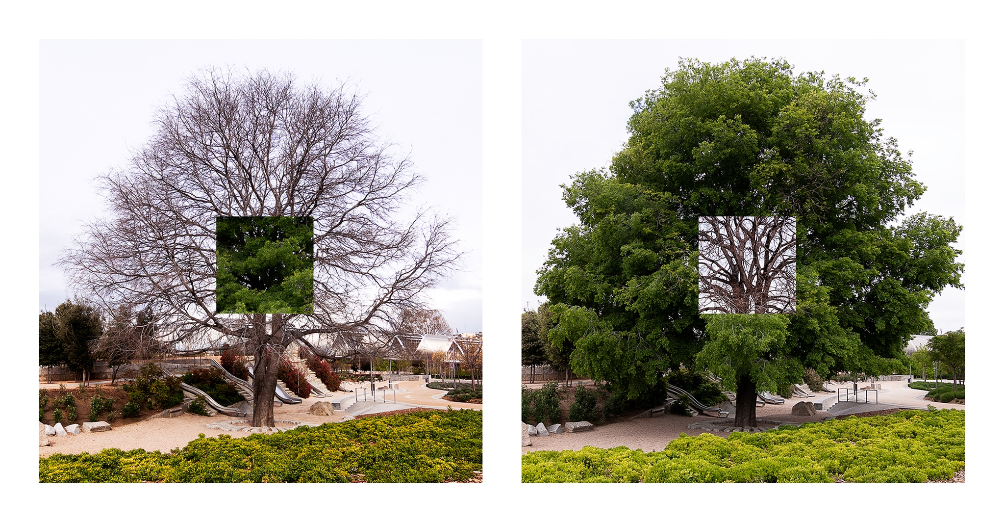 El Solitario - Estudio 1 1 red