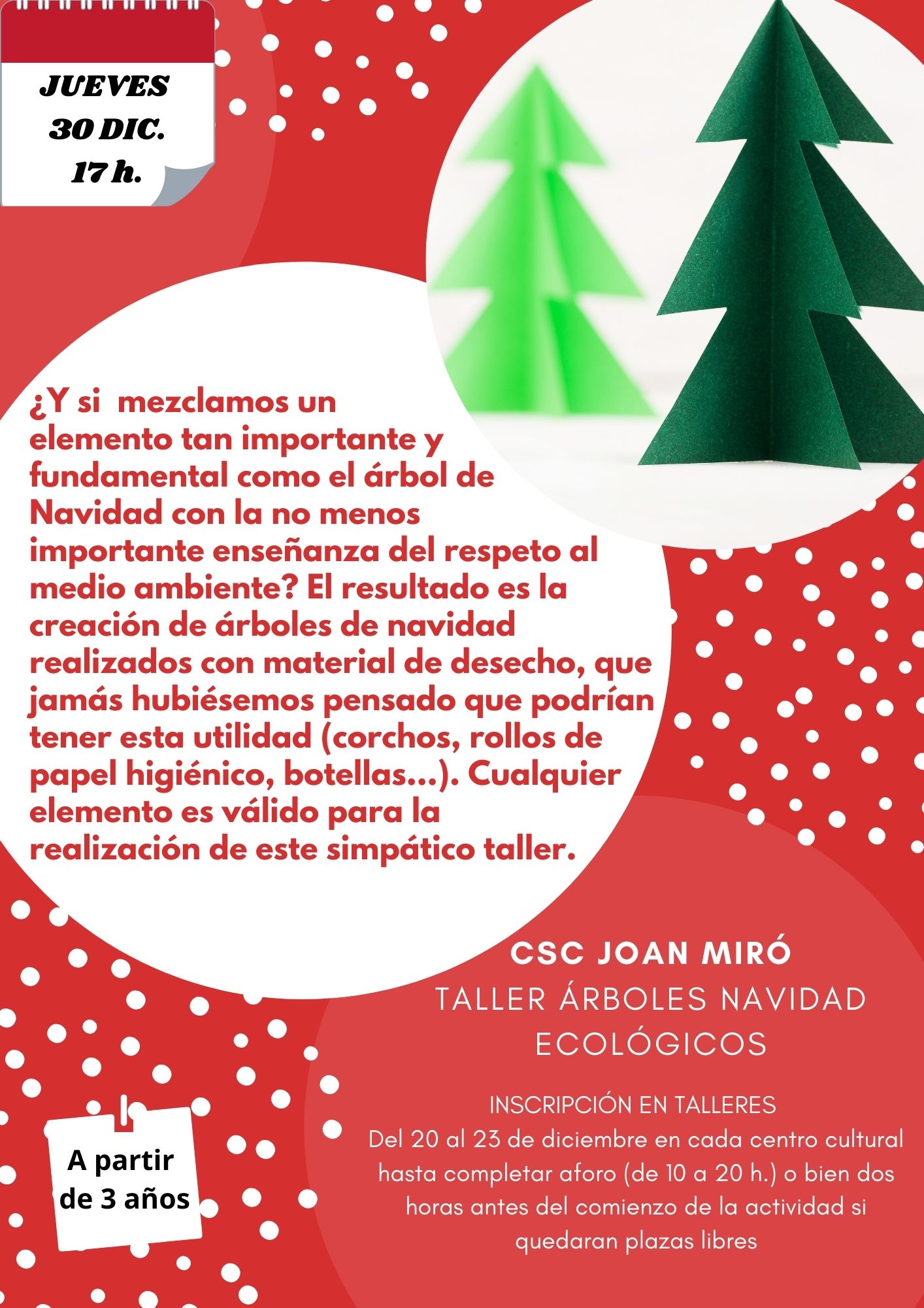FOTO TALLER ÁRBOLES NAVIDAD ECOLÓGICOS_MIRÓ