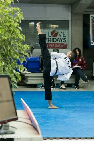 open taekwondo 2