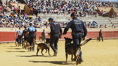 destacada Clausura de las VI Jornadas policiales y militares de guías caninos internacionales (3) copia