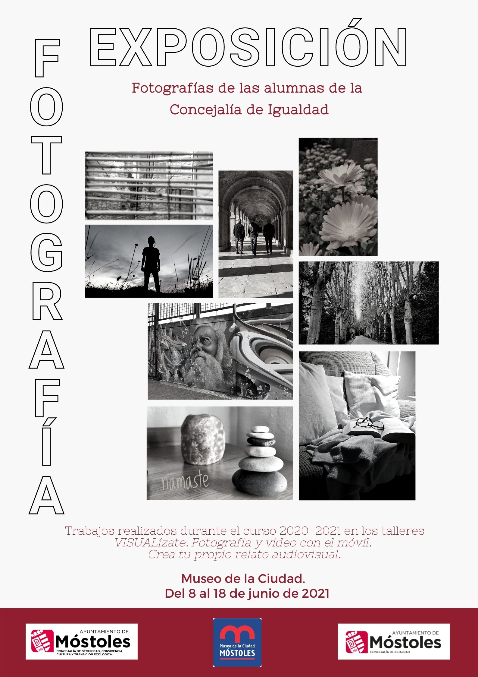 Cartel expo Visualizate