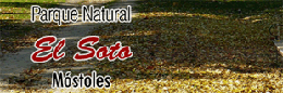 Parque Natural del Soto de M�stoles. Este enlace se abrir&aacute; en una ventana emergente.