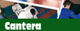 Cantera