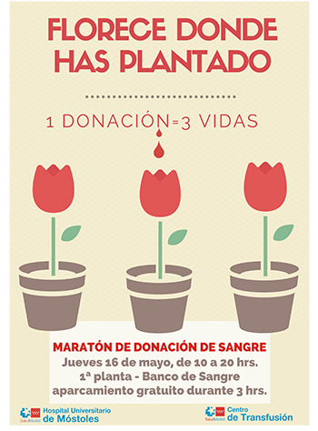 Cartel Maratón H Móstolesp