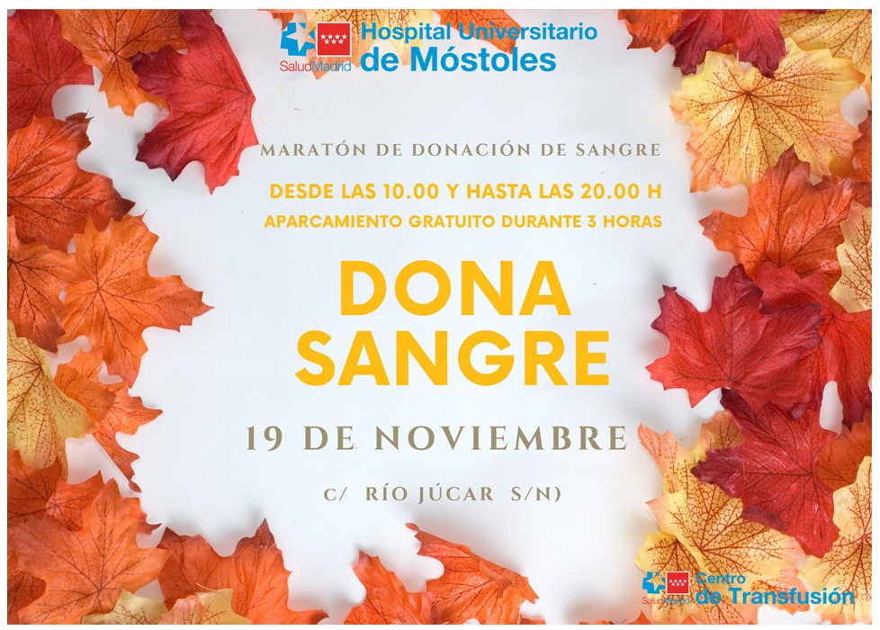 Dona-Sangre - horario