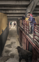 Primer Premio Recortes 3p