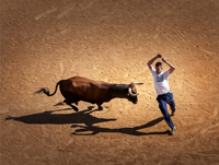 Tercer Premio Puro Arte