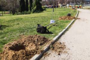 21 marzo 2023 - Día del Árbol