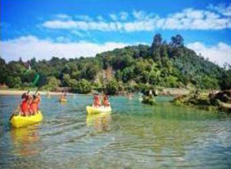 minicampamentos copia