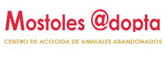 MostolesAdopta