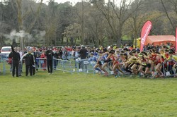 Campeonato de cross y relevos 6