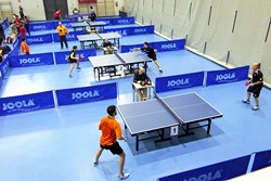 VII Open de Categorías de Tenis de Mesa
