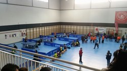 Open de Tenis de Mesa
