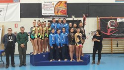 GymCupMadrid2016 1 (Copiar)