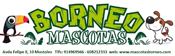 Logo Mascotas Borneo 175. Este enlace se abrirá en una ventana nueva