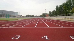 Nuevo Polideportivo el Soto 10