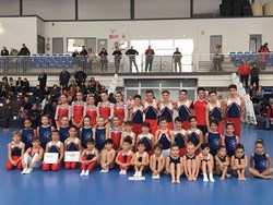 Gimnasia Artística 1