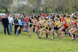 Campeonato de cross y relevos 7