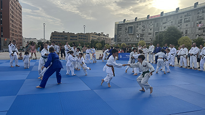 destacada Móstoles acogió una exhibición de judo en la Plaza del Sol (3) copia