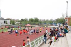 Jornadas multideporte (2)