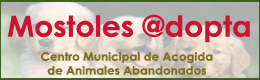 MostolesAdopta