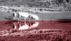 destacada Exposición María José Perales Micó Museo marzo 2025 copia