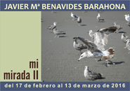 Javier Benavides principal