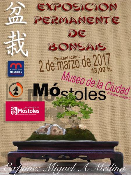 CARTEL exposicion de bonsais