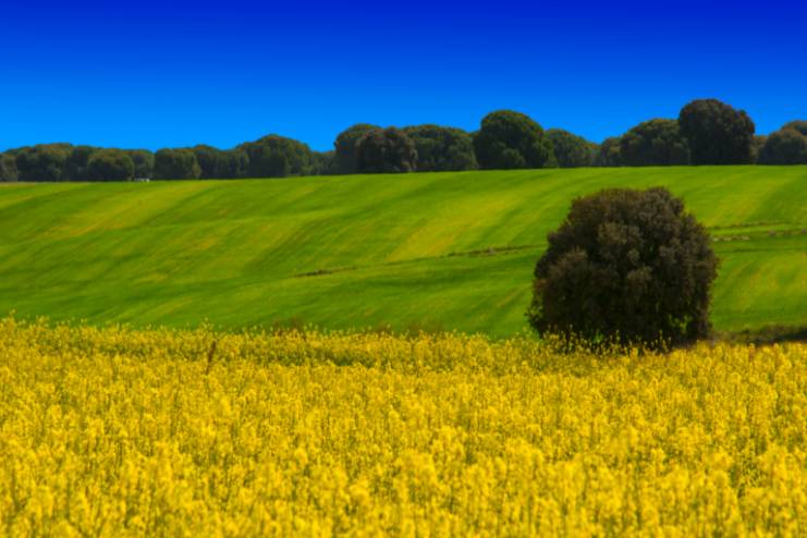 2º Premio Paisaje. BLANCO Y NEGRO