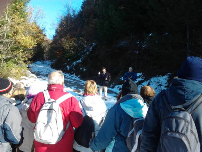 Jornadas de senderismo en la Selva de Irati