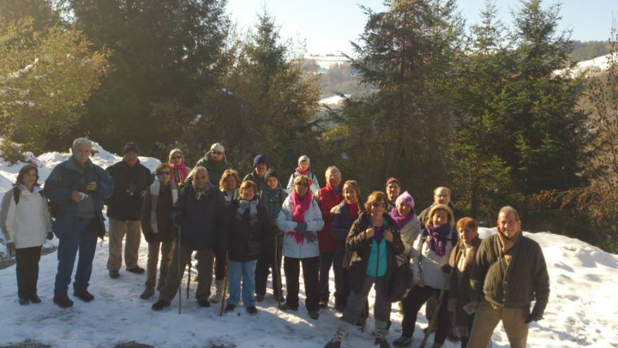 Jornadas de senderismo en la Selva de Irati