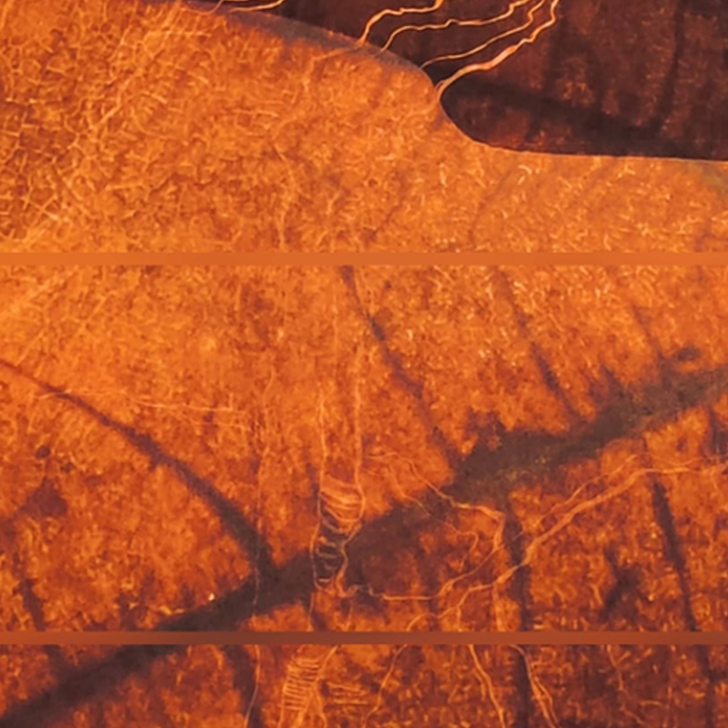 destacada agenda Tarjetón Pilar Morales