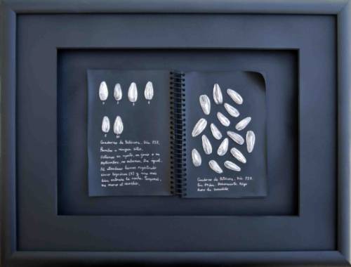 FOTO 1_EXPO VILLA_ALFILERES Y PIPAS_ SALA 1