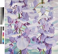 FOTO_GLICINIAS_EXPOSICIÓN FLORES DE CIUDAD_CARMEN VARELA