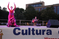 homenaje Paco de Lucia (17)p