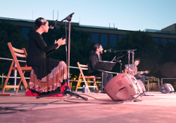 homenaje Paco de Lucia (49)p