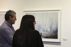 Exposición fotos Aida Pascual 5